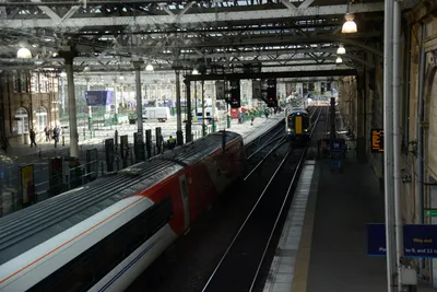 DSC_7281 (Large).JPG